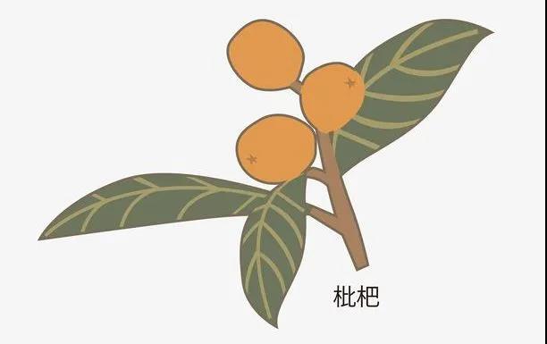 孩子咳嗽老不好?这几个建议一定能帮到你