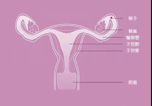 女人染上妇科病的四大恶习,你肯定中招了,看了赶紧改