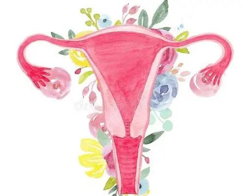 女生小便歪斜,到底怎么回事